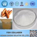 POUDRE DE COLLAGÈNE DE POISSON HALAL CHINE